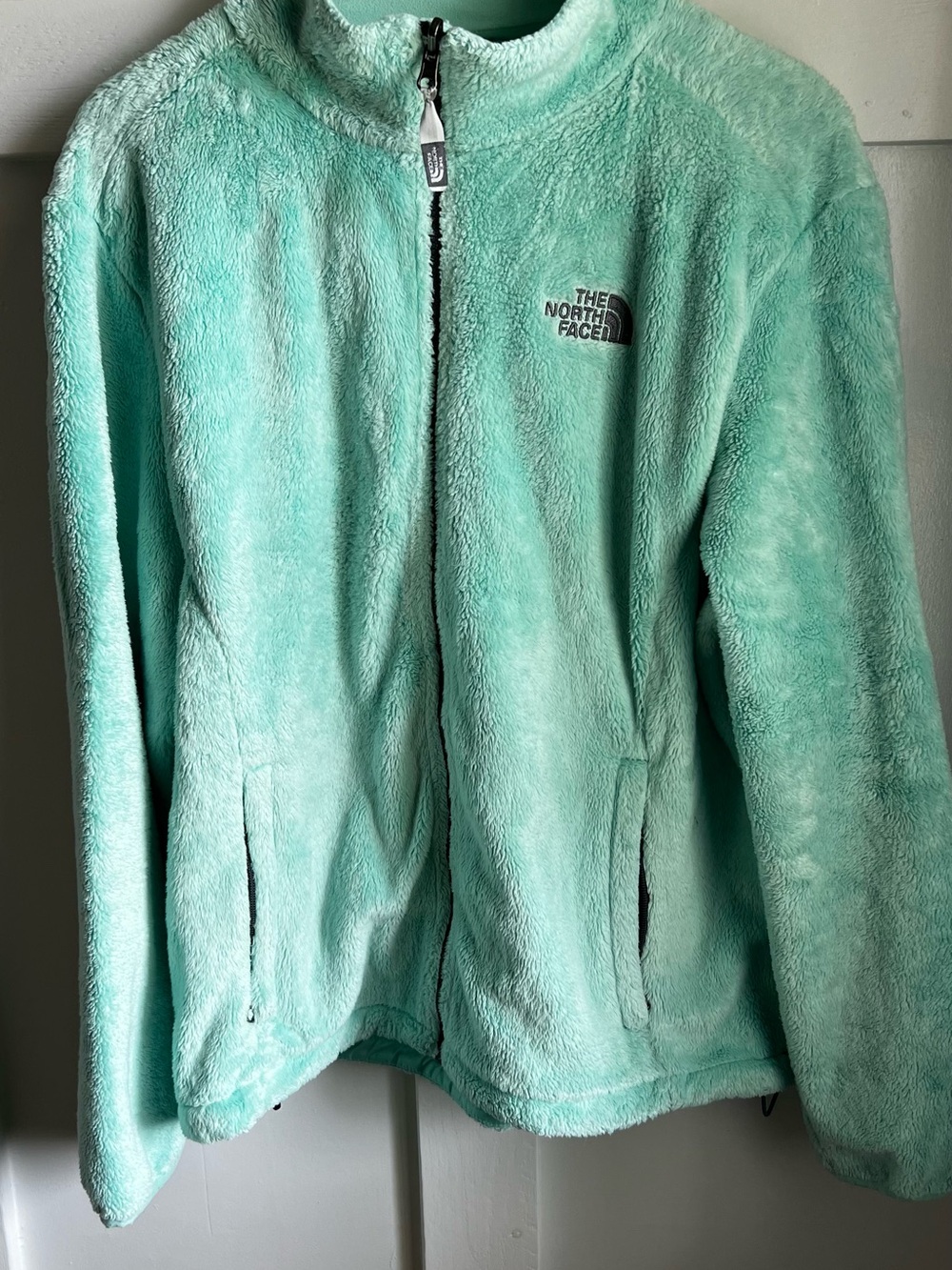 The North Face Women’s Mint Green Teddy Fleece Jacket